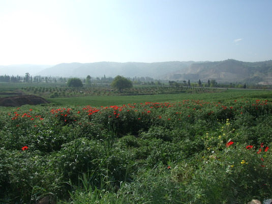 landschaft bei gohar tepe