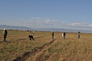 Keramikernte nahe des Gurban Tepe, Karacamirli