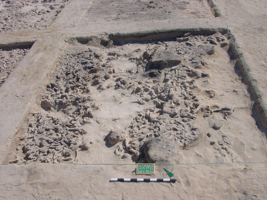 Areal A Trench D6