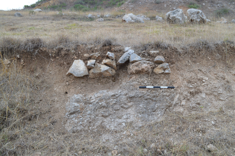 In der Oberstadt des Sirkeli Höyük durch moderne Bauarbeiten freigelegte antike Mauerzüge (Foto: A.E. Sollee).